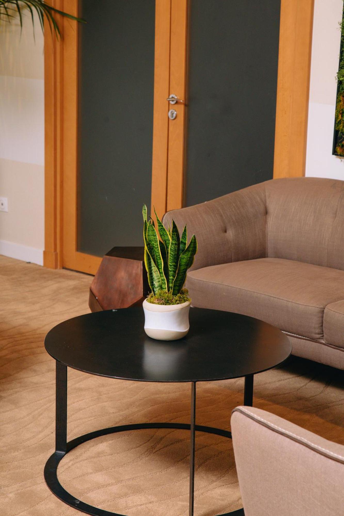 Fraser Suites Paris La Defense Κουρμπεβουά Εξωτερικό φωτογραφία Sansevieria trifasciata